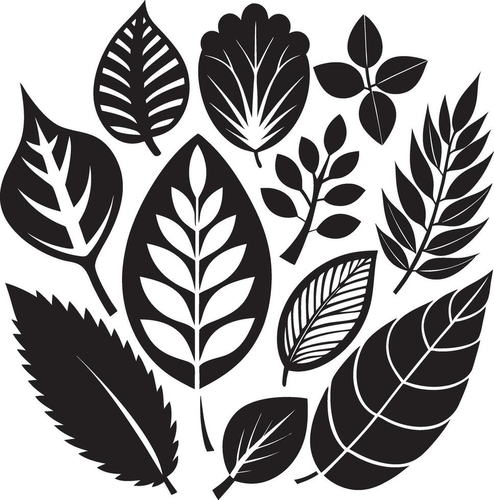 Elegant Botanical Leaf Patterns vector