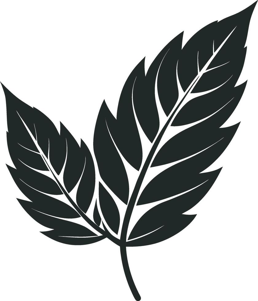 Timeless Black Leaf Artwork vector
