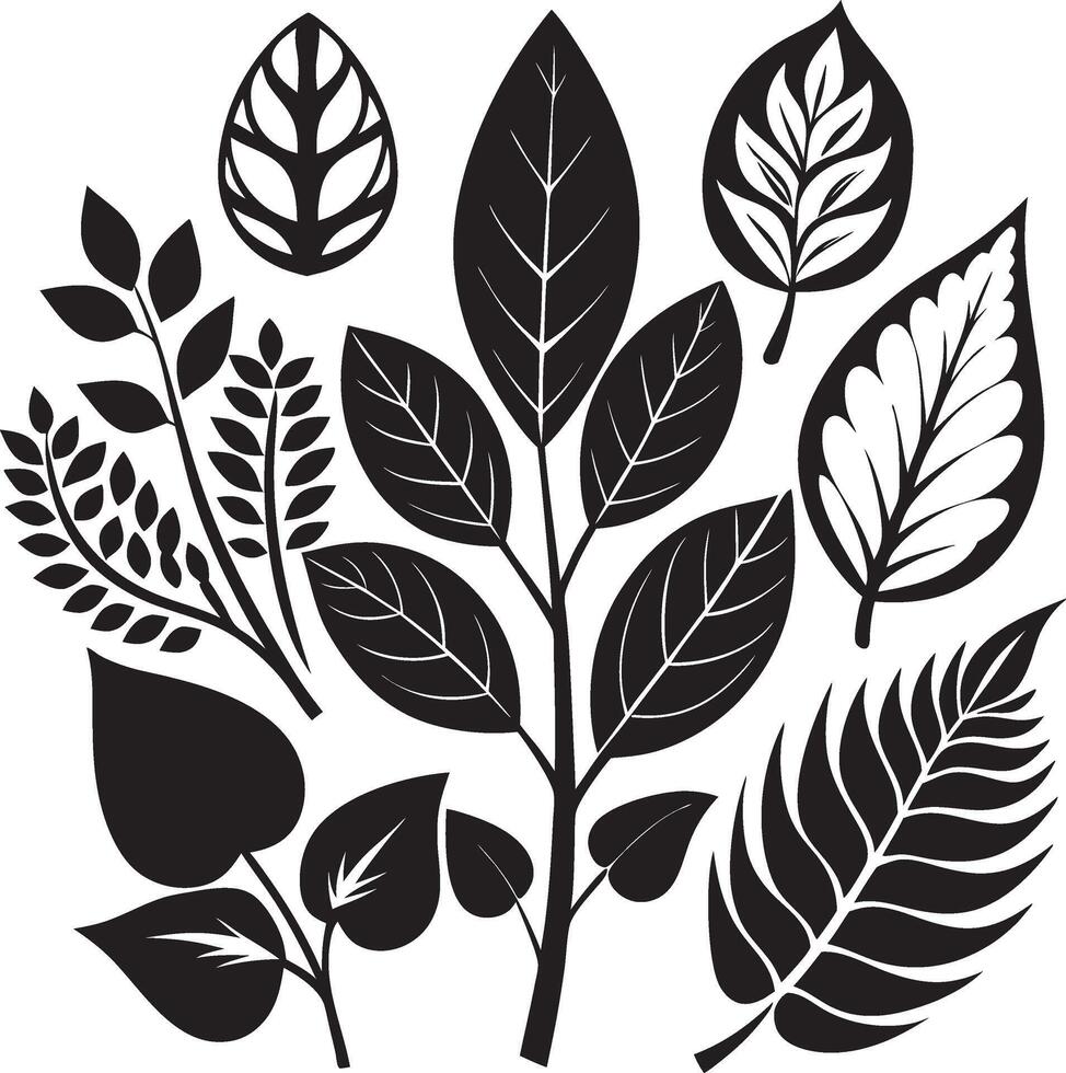 Modern Black Leaf Patterns Pack vector