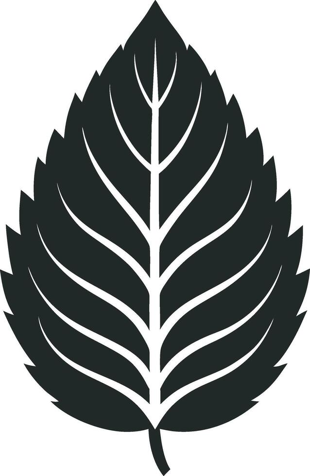 Abstract Black Leaf Silhouettes vector