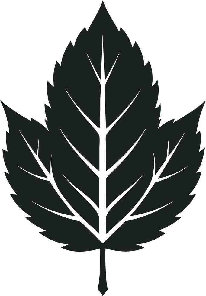 Stylish Leaf Silhouettes vector