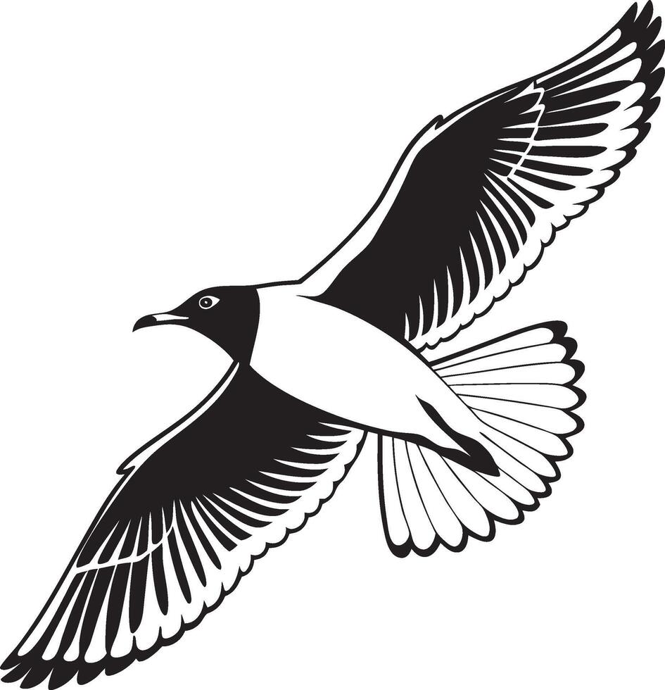 black and white illustration of a seagull flying vector
