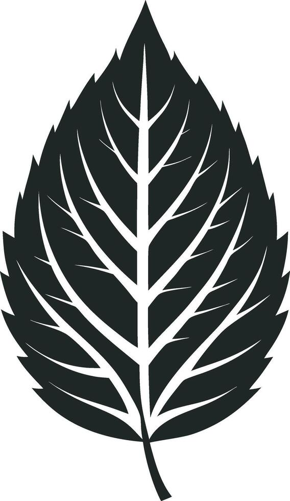 Modern Minimal Leaf Designs vector