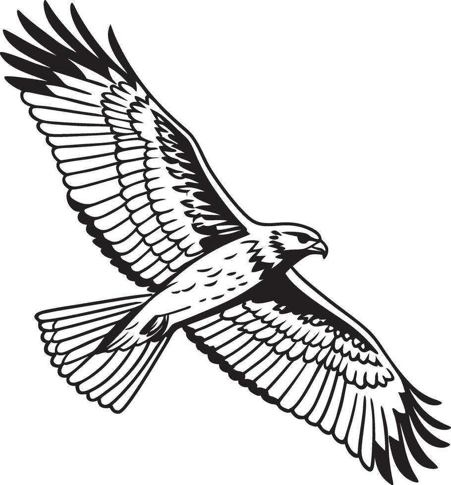 a black and white drawing of an falcon flying vector