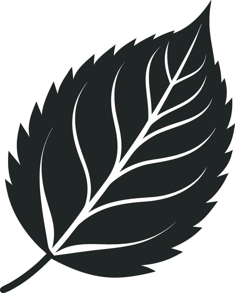 Elegant Black Leaf Silhouettes and Patterns vector