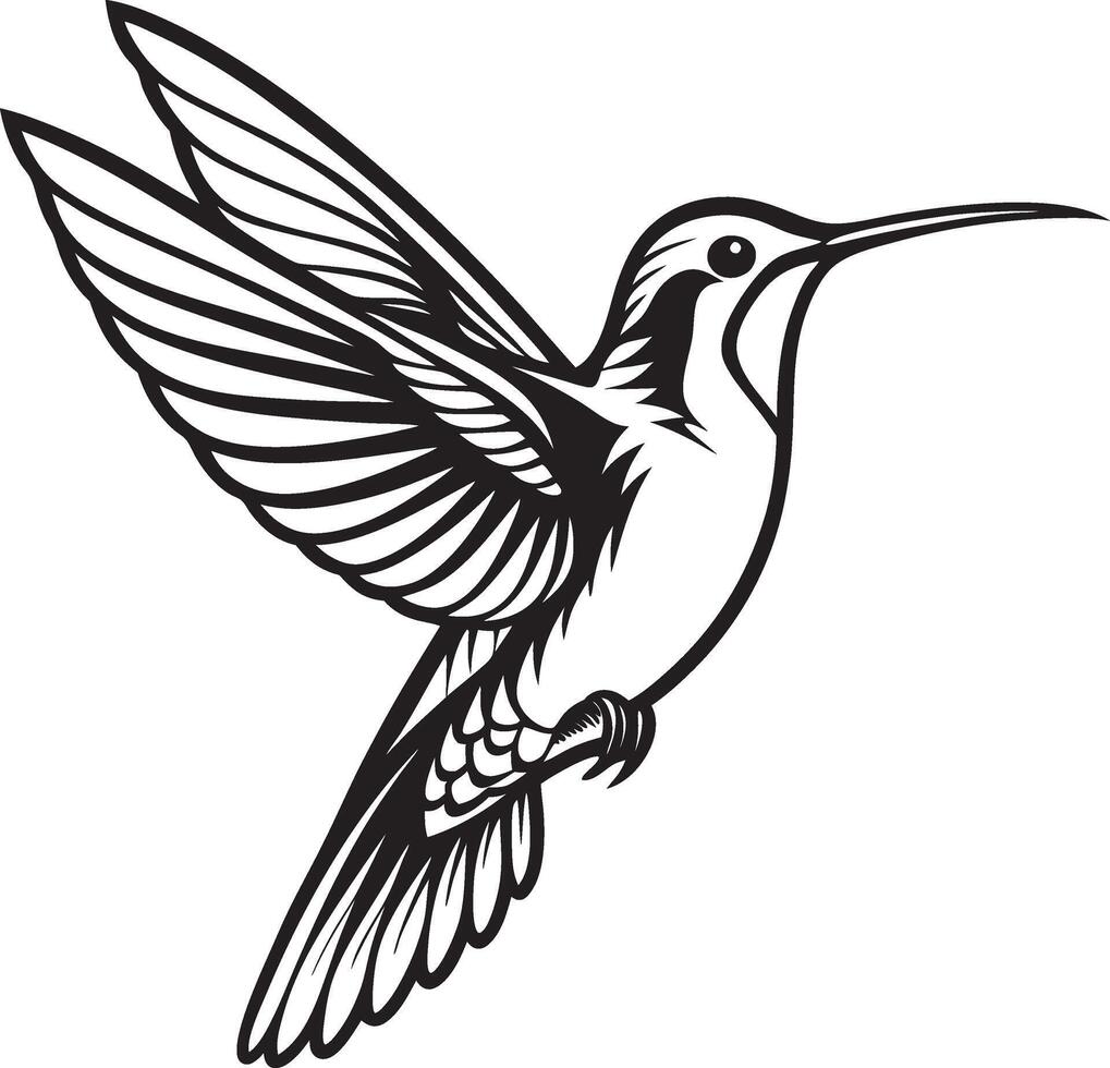 Hummingbird Silhouette Hovering Gracefully vector