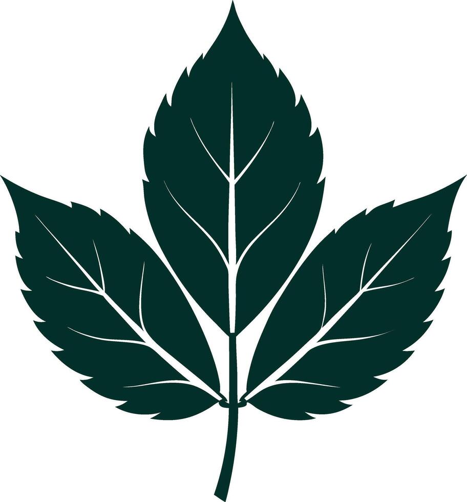 Modern Botanical Silhouette Collection vector