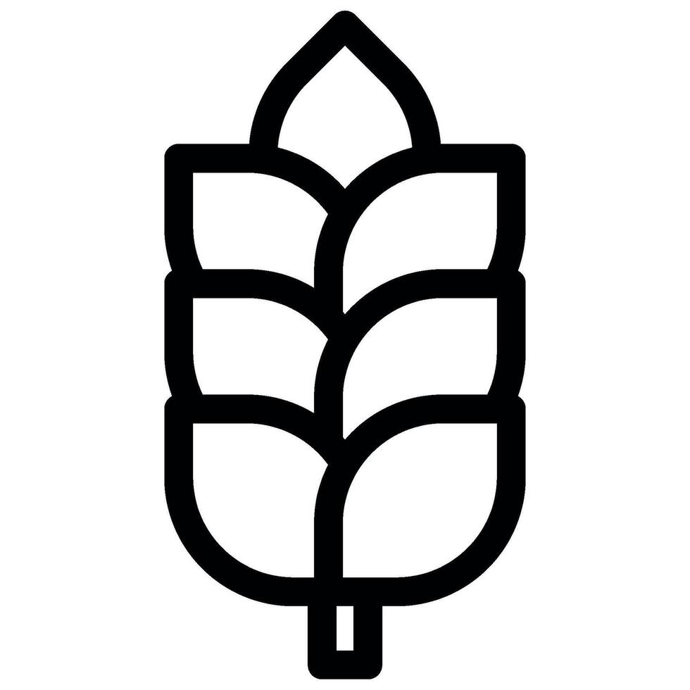 harvest wheat grain icon vector