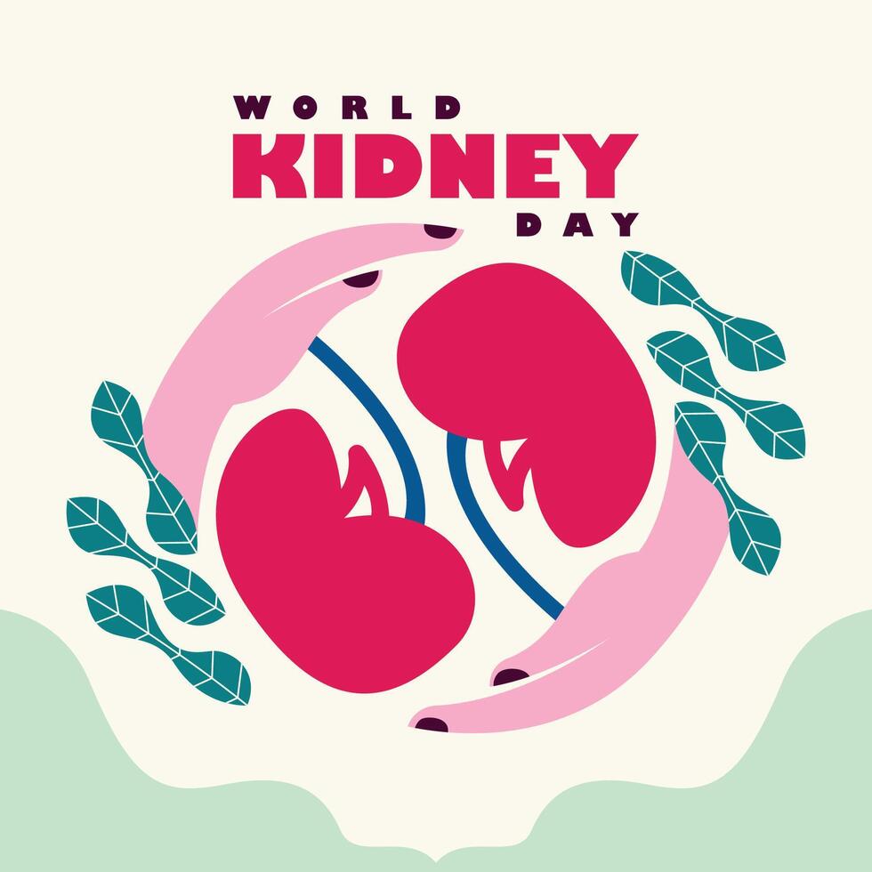 Flat illustration for world kidney day vector