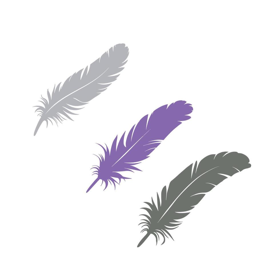 Silhouette of Birds Feather vector