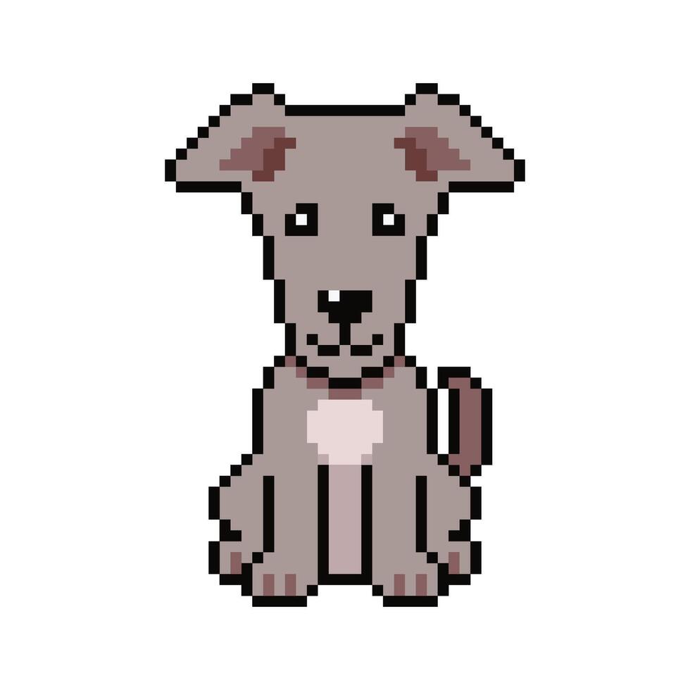 Pixel art cute greyhound dog in retro style vector