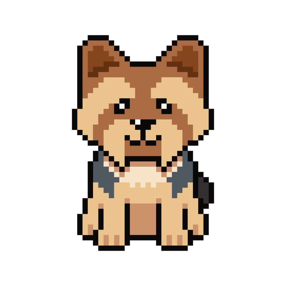 Pixel art cute yorkshire terrier dog in retro style vector