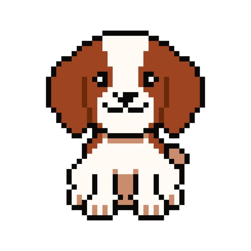 Pixel art cute cavalier king charles spaniel dog in retro style vector