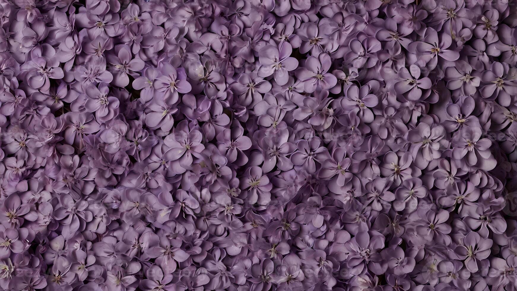 Romantic Violet Flower Background photo