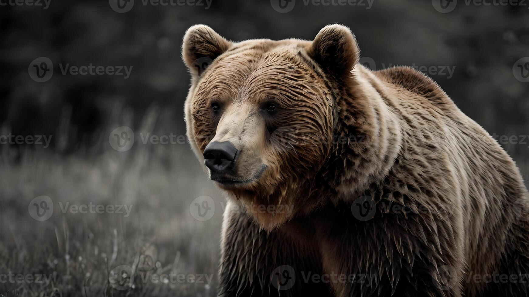 Majestic Brown Bear Portrait in Serene Natural Habitat photo