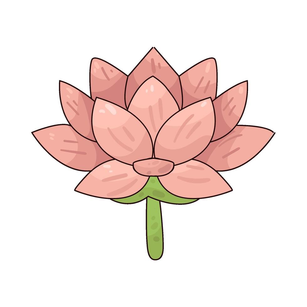Illustration of lotus vector