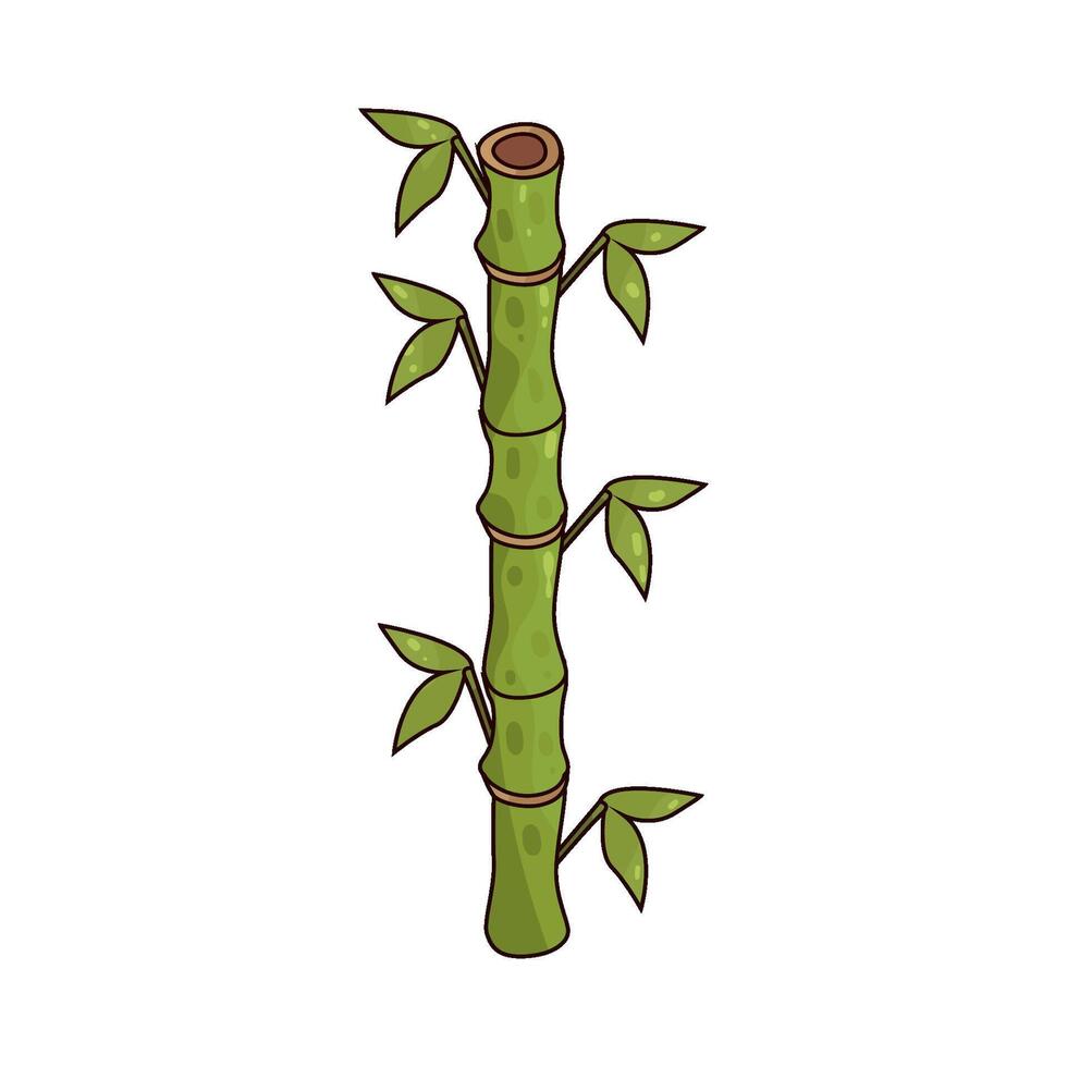 Illustration of bamboo vector