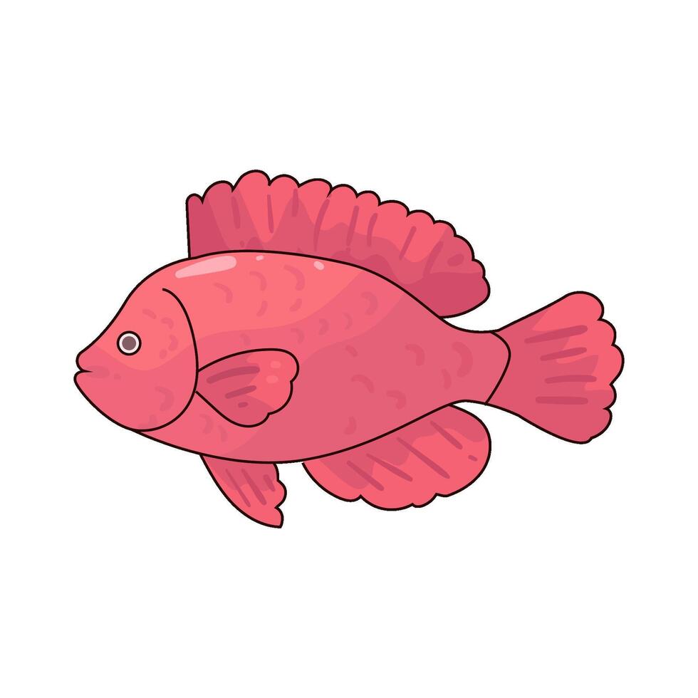 Illustration of fish vector