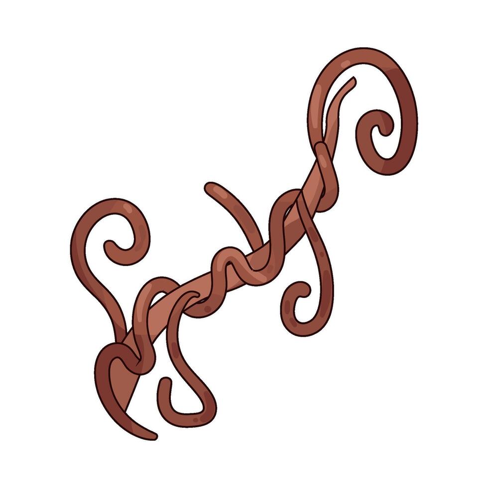 Illustration of vine vector