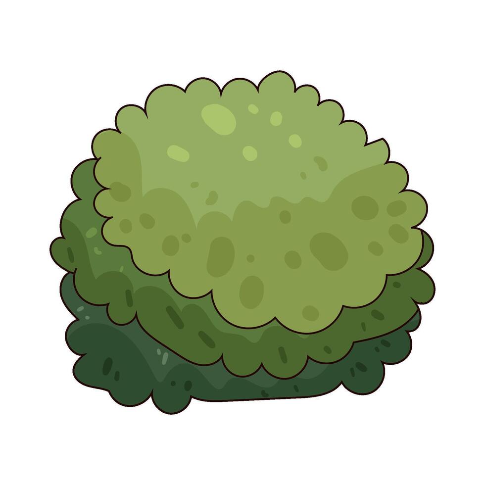 Illustration of Bush vector