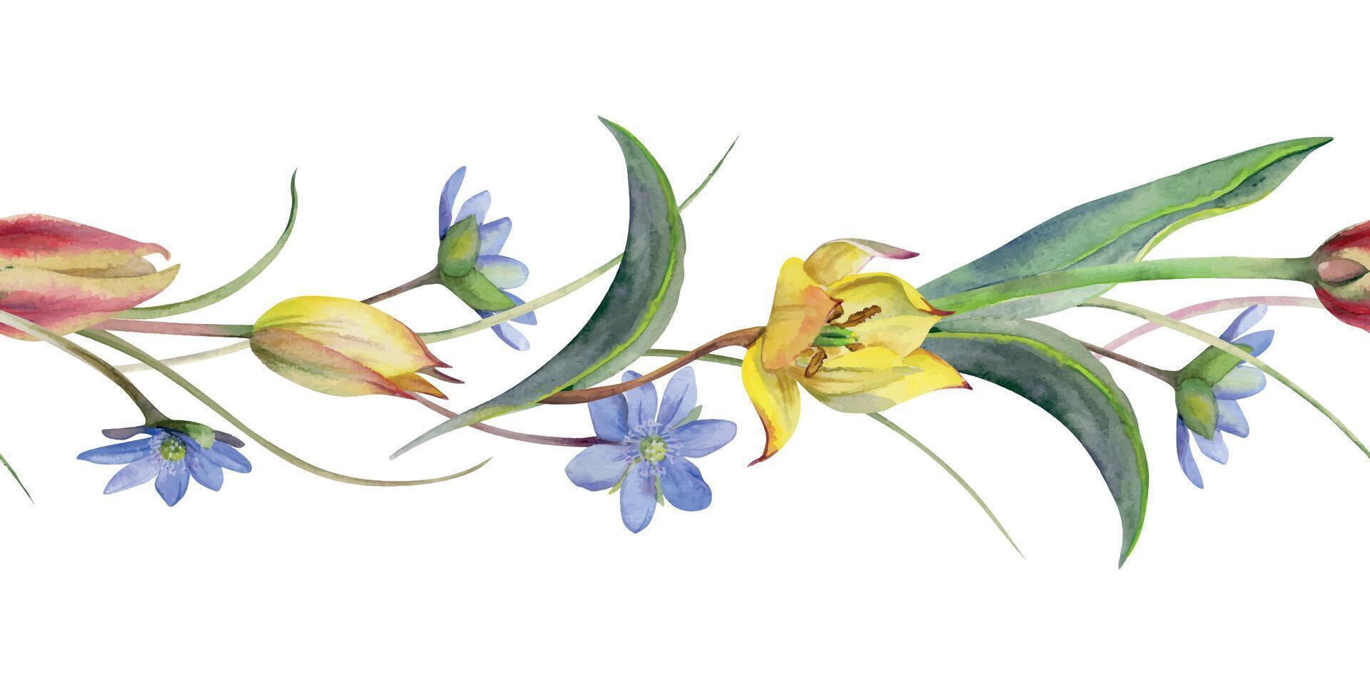 Spring flowers, blue hepatica forget-me-not, yellow and red tulip, white forest anemone primrose, grass, hand drawn in watercolor. Seamless banner illustration, for wedding, florist shop, stationery. vector