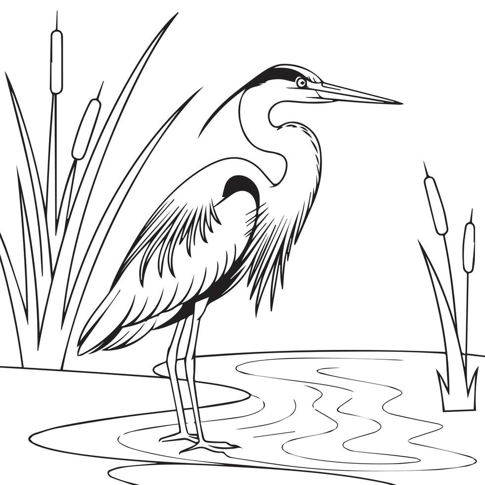 a heron standing in the water coloring page vector