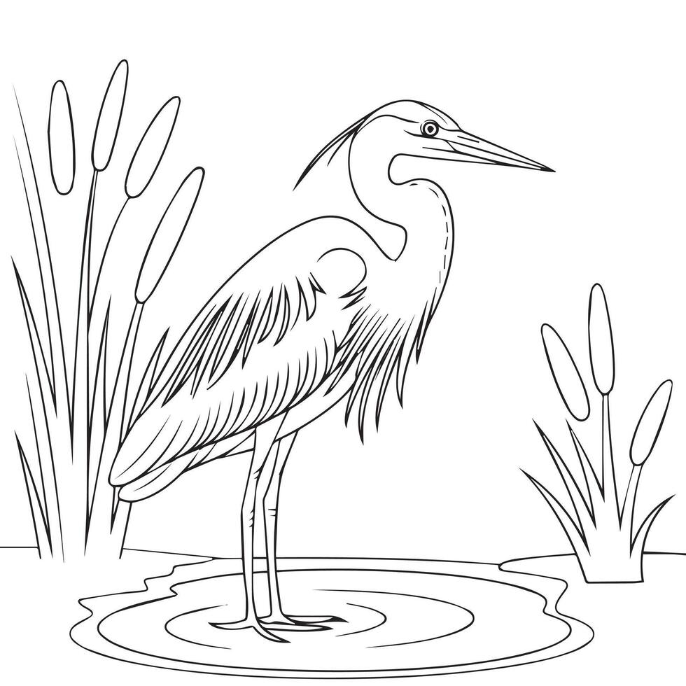 heron coloring page vector