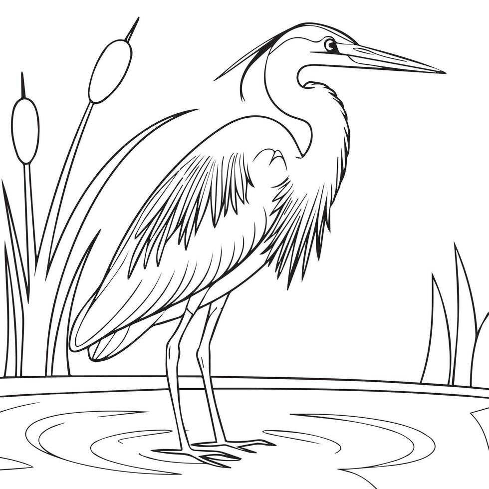 heron coloring page for kids vector
