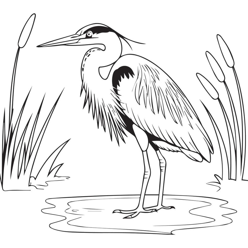 a drawing of a heron standing in the water vector