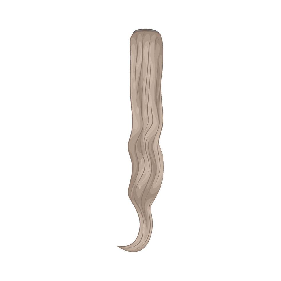 Illustration of Hair Extension vector