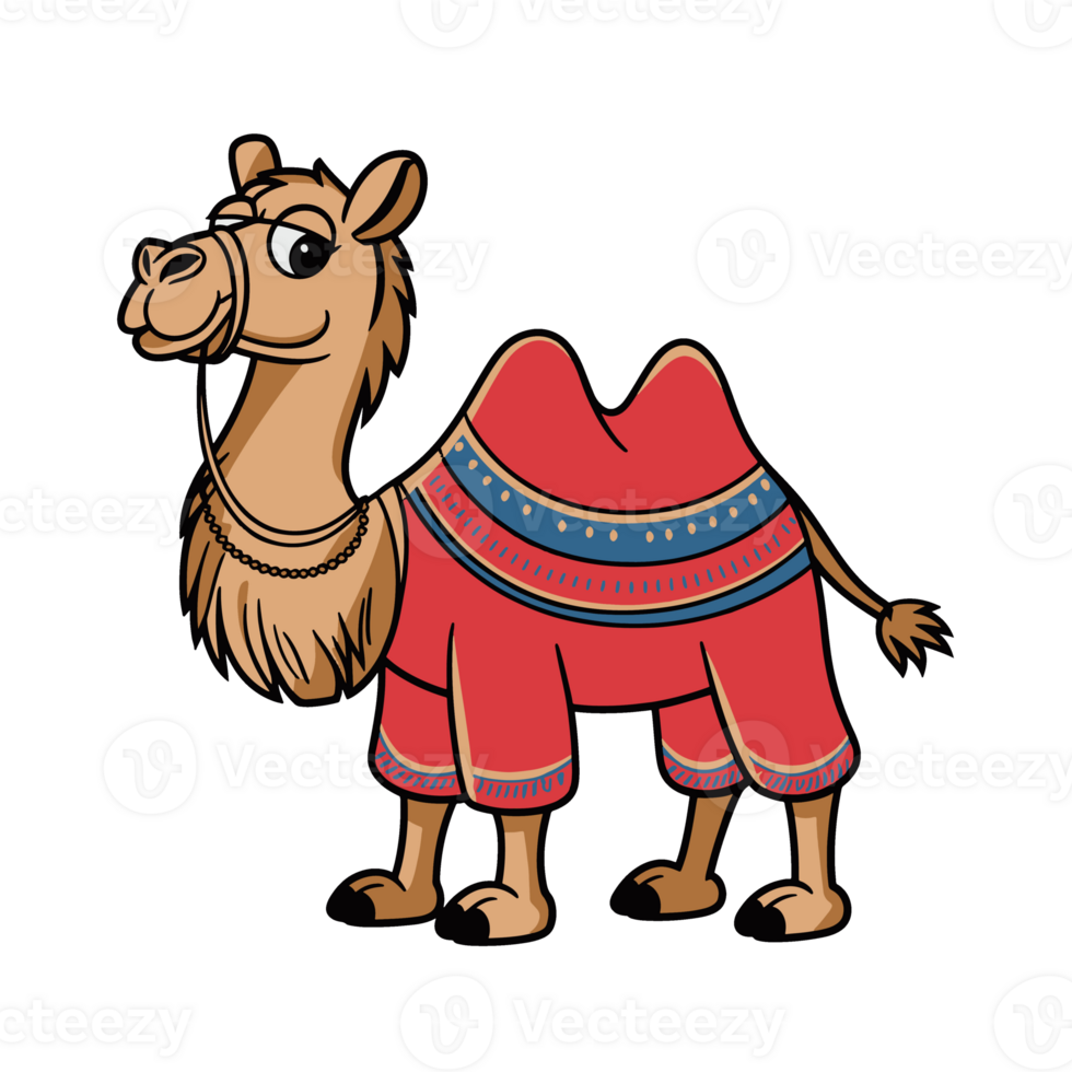 Funny Camel illustration png
