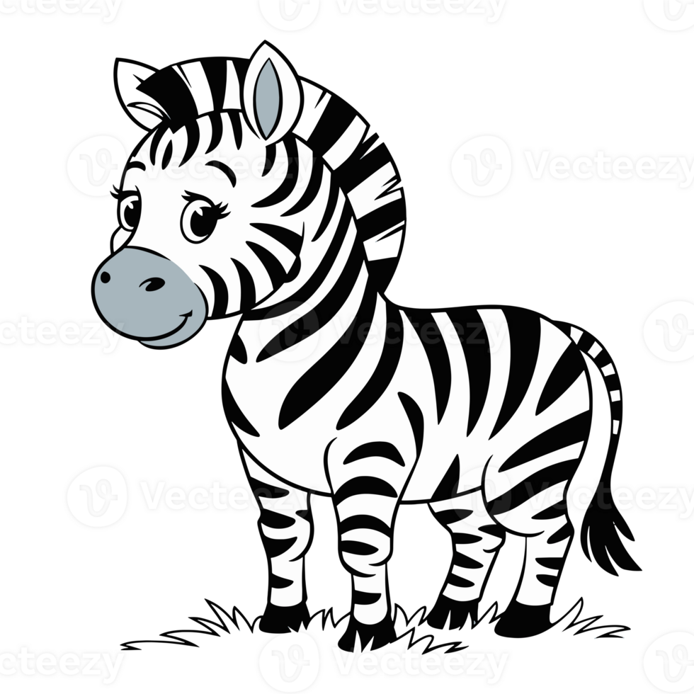Cute Zebra illustration png