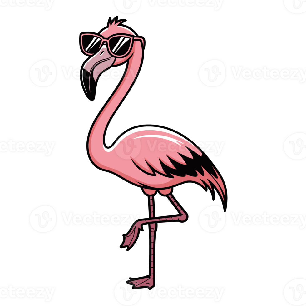 Funny Flamingo illustration png