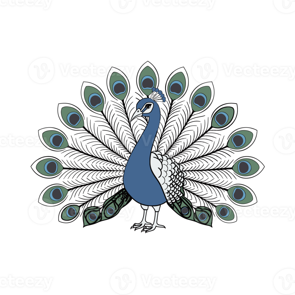 Funny Peacock illustration png