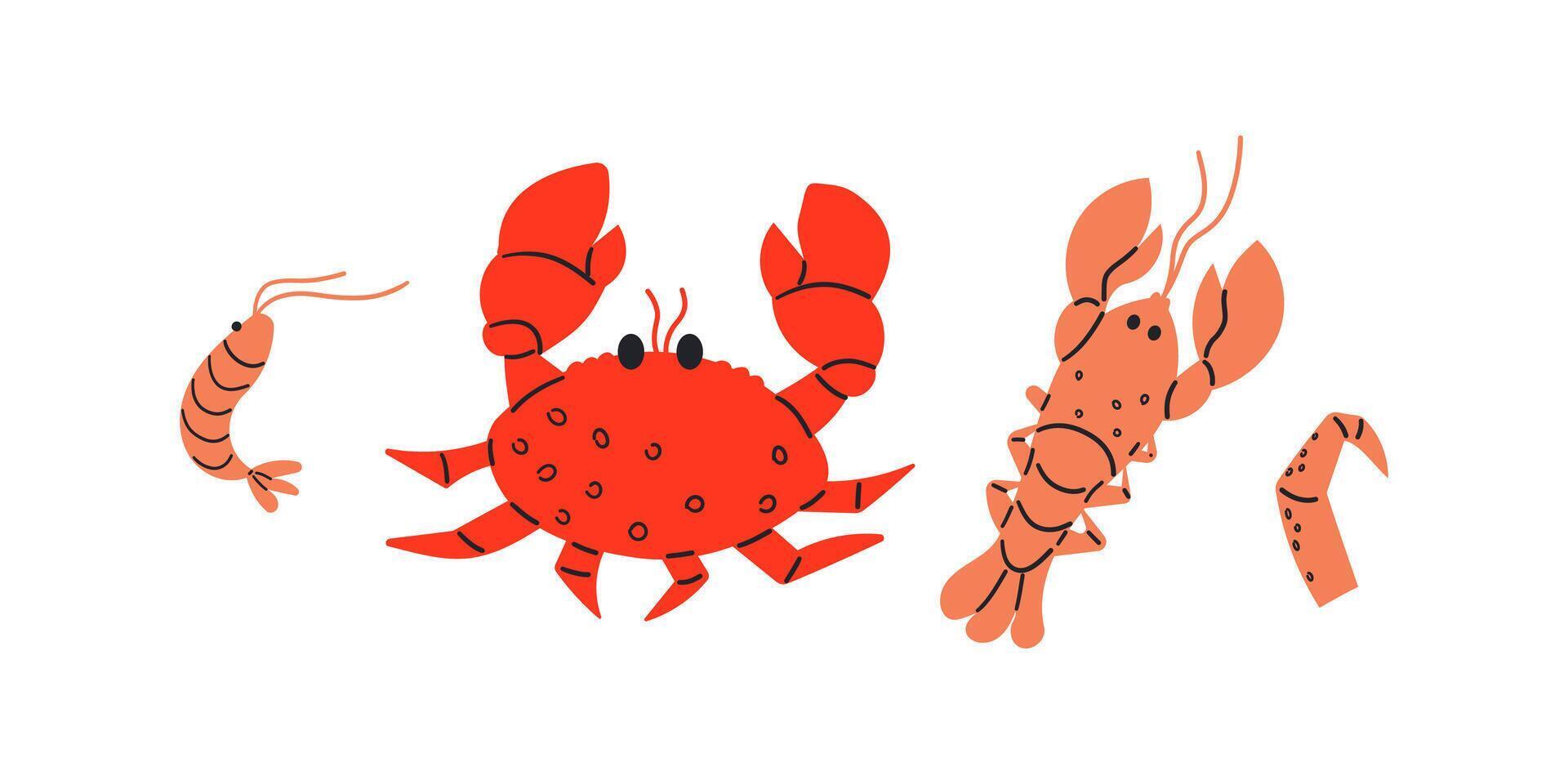 Marine lobster , crabs, shrimps . Ocean life and sea creatures, animals . Flat hand drawn illustration for web design , card restaurants and web design . vector