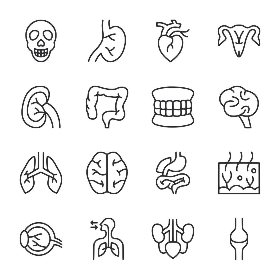 A set of medical icons including a skull, heart, and brain vector