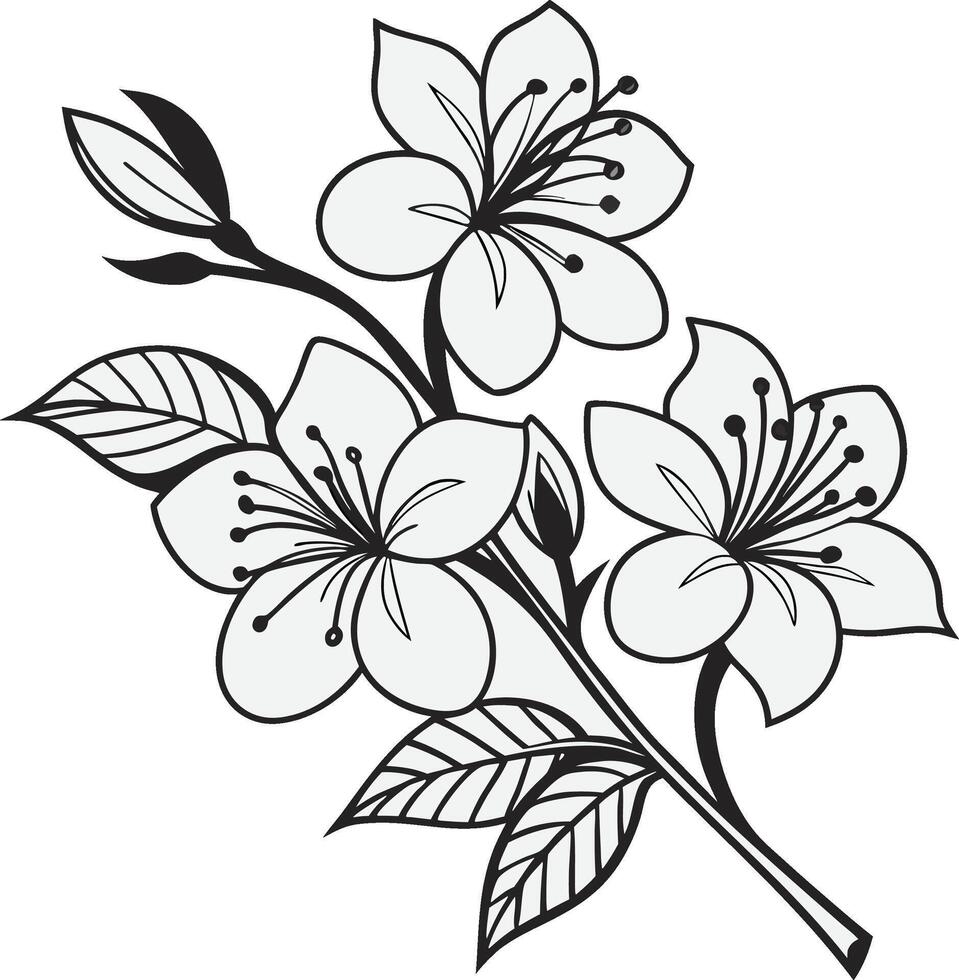 Botanical illustration cherry blossom branch black and white line art. vector