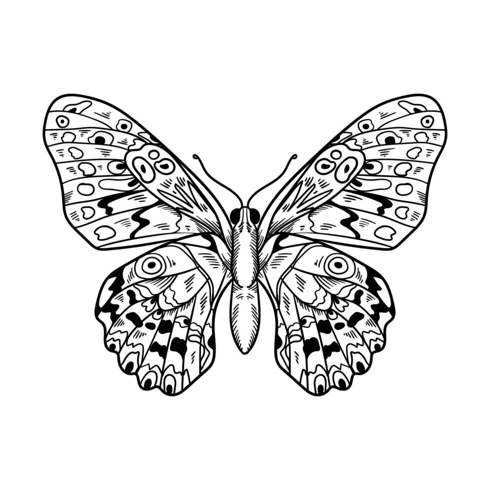 Continuous single line Butterfly drawing and one line outline art illustration vector