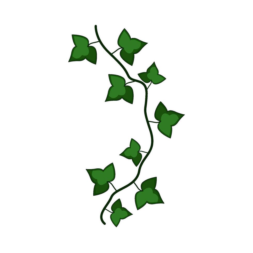 illustration of Vine vector
