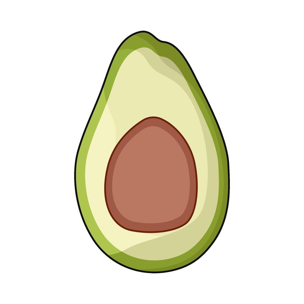 illustration of avocado vector