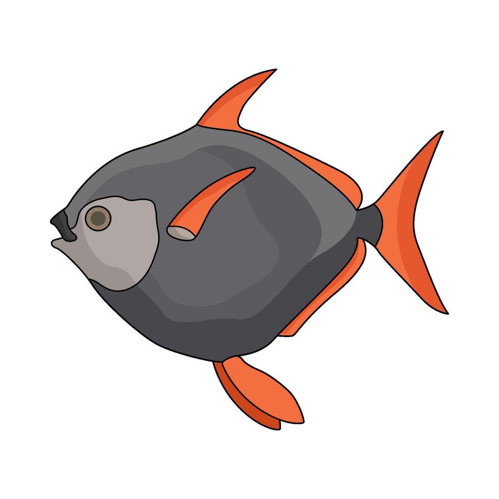 illustration of fish vector