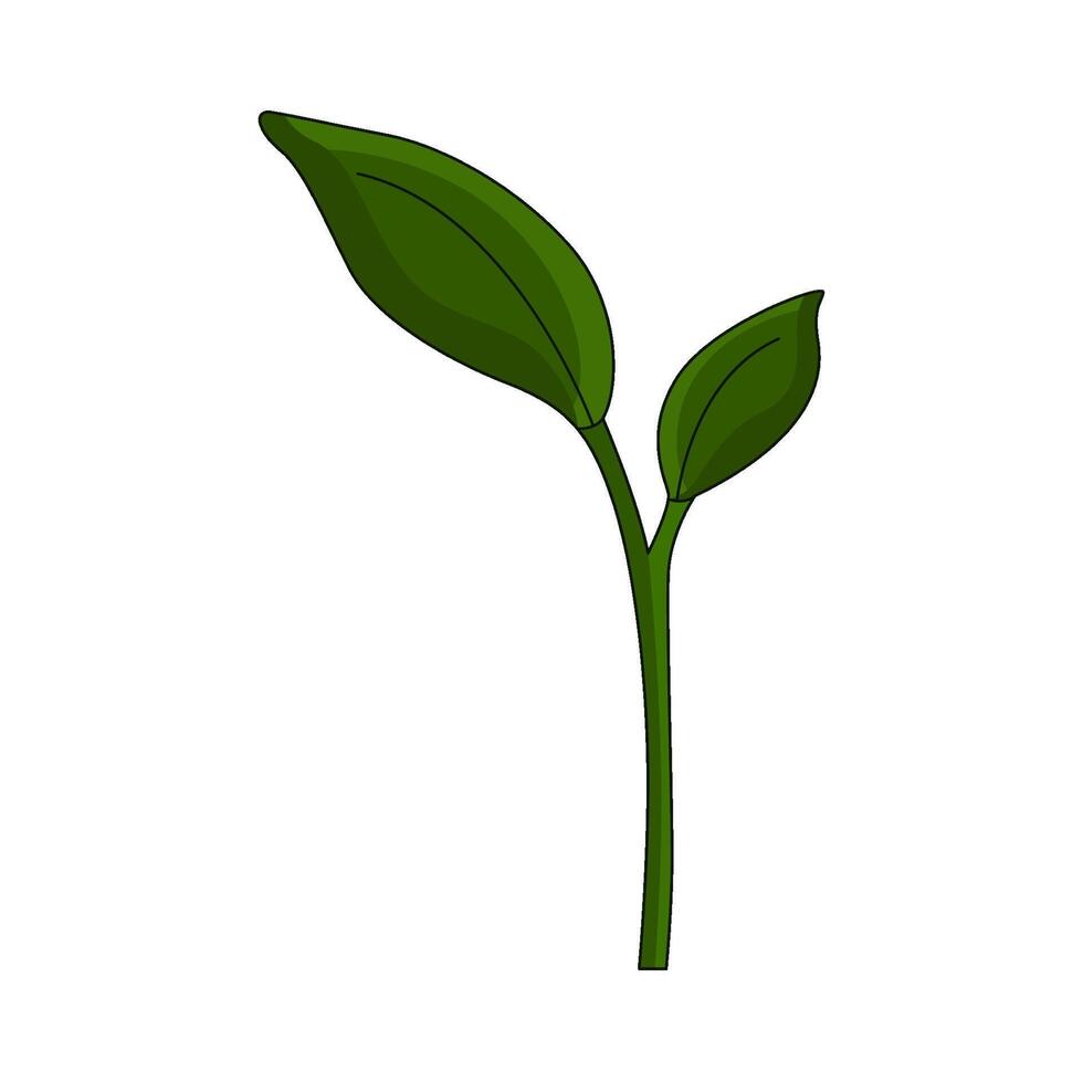 illustration of plant sprout vector