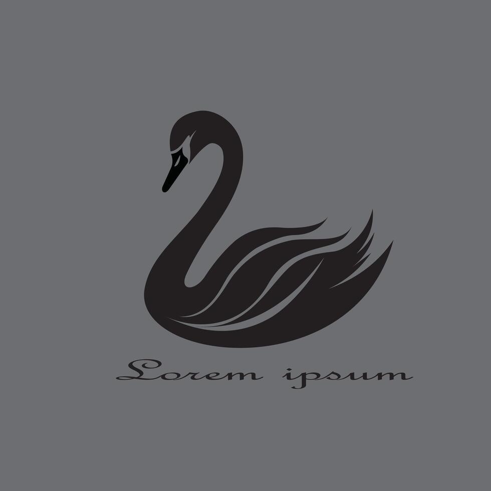 Elegant Black Swan Silhouette with Decorative Feather Details on Gray Background vector