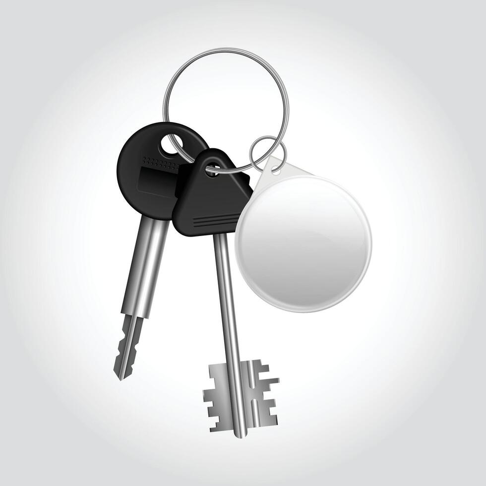 Bunch of Keys Illustration Versatile Design for Various Applications vector