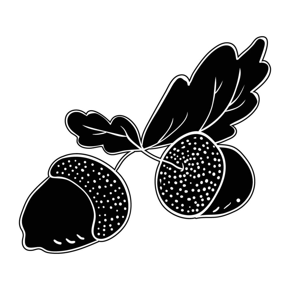 black and white illustration of acorn with leaves vector