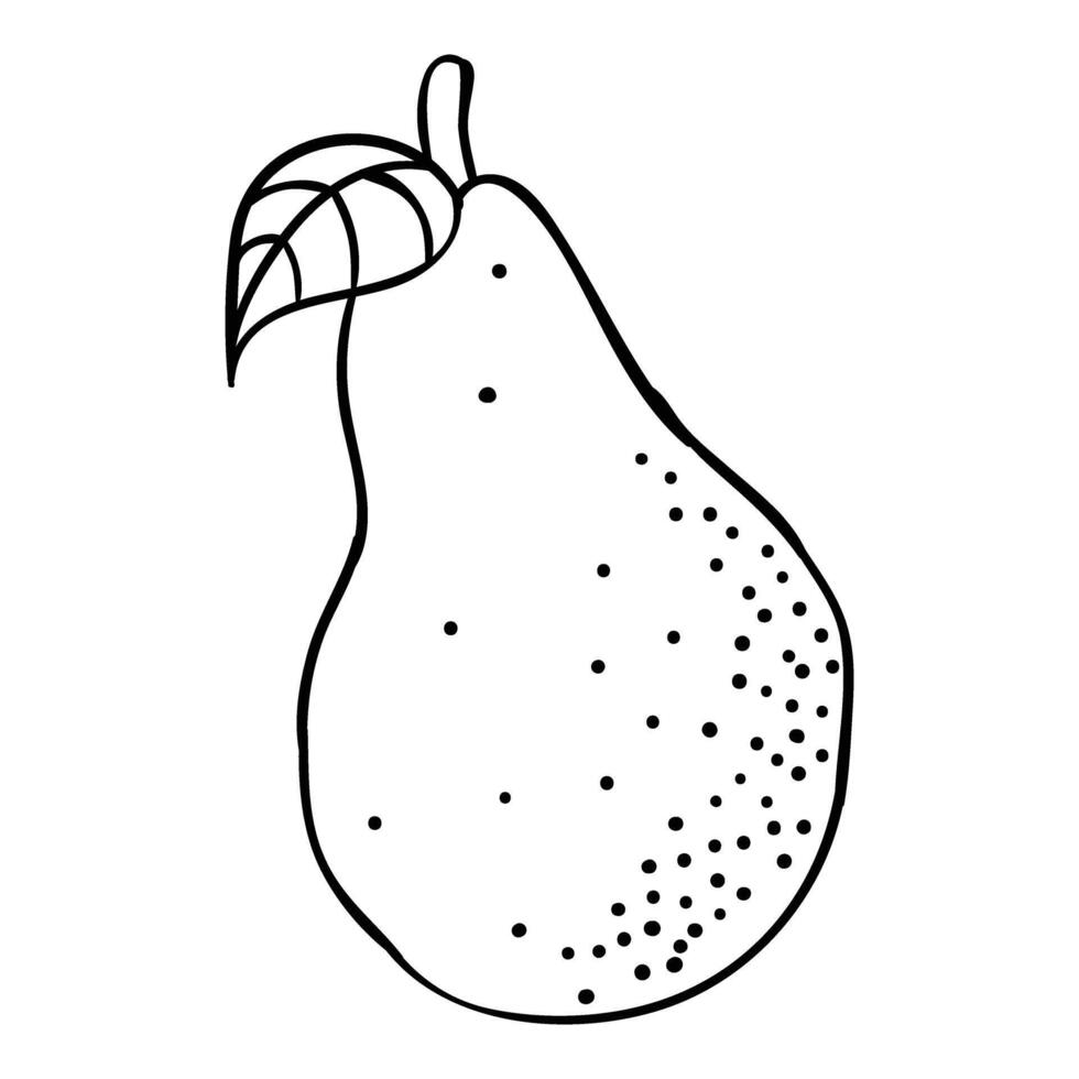 a pear is shown in a line drawing vector