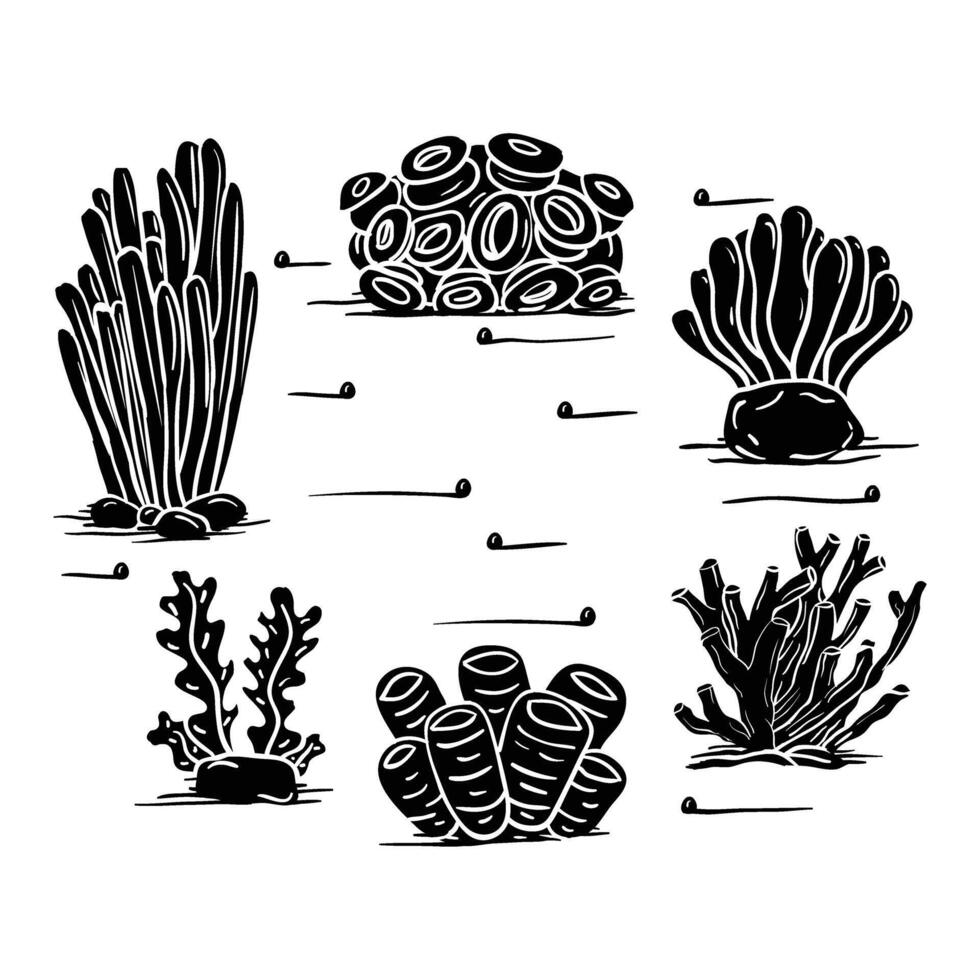 black and white illustration of various types of corals vector