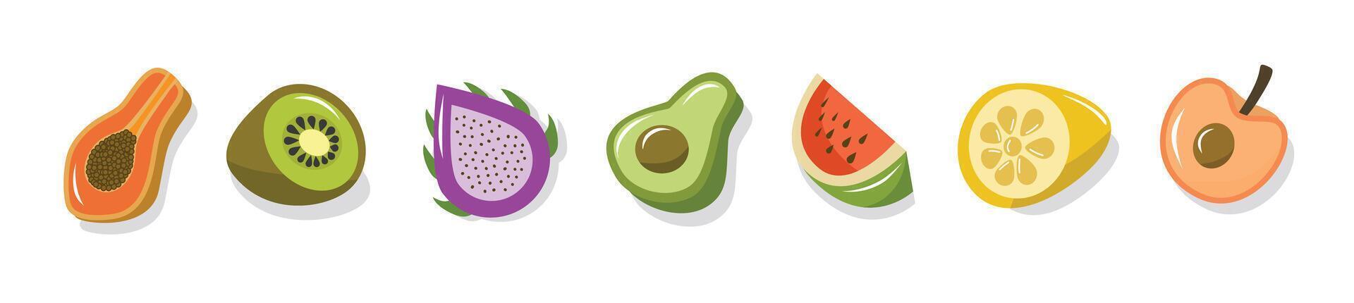 Set of various fruit slice. Papaya. Watermelon. Dragon fruit. Pear. Citrus. Lemon. Avocado. Peach vector