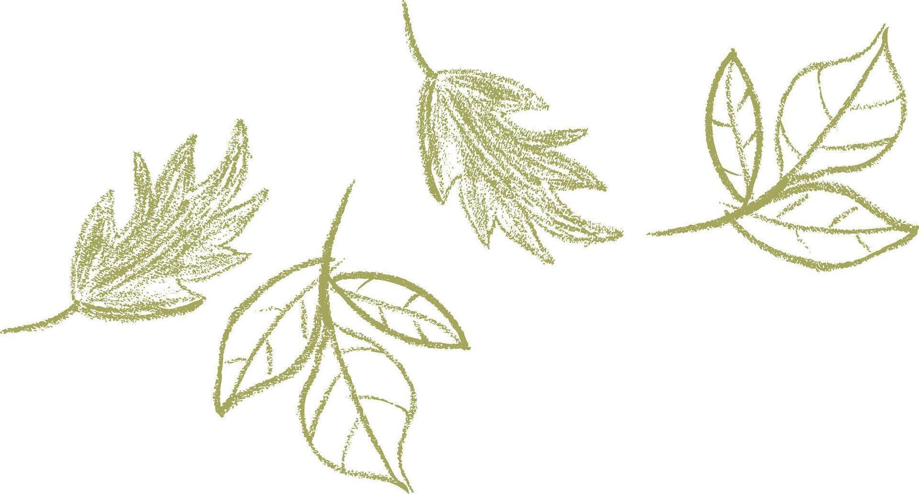 Hand drawn leaves for graphic design elements isolated on white vector