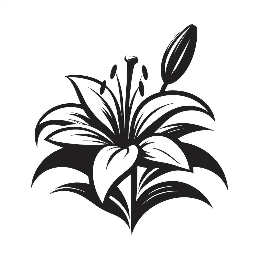 A black and white lily flower on a white background vector